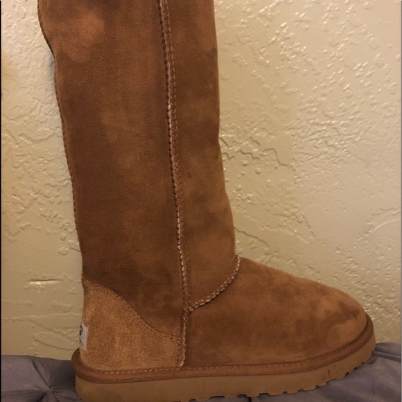 Classic Tall || Boot Uggs - Picture 4 of 8